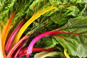 shot of rainbow chard