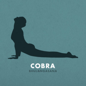 yoga-cobra1